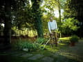 Pikkukuva 4 / 4: Greenworks-trimmeri 40V 4Ah GD40BCK4 - 1301507UB