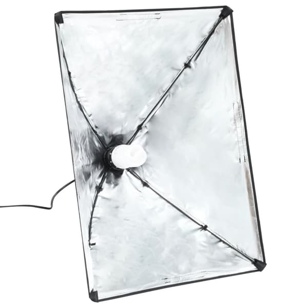 vidaXL Profesjonelle studiolys 2 stk 40x60 cm stål svart