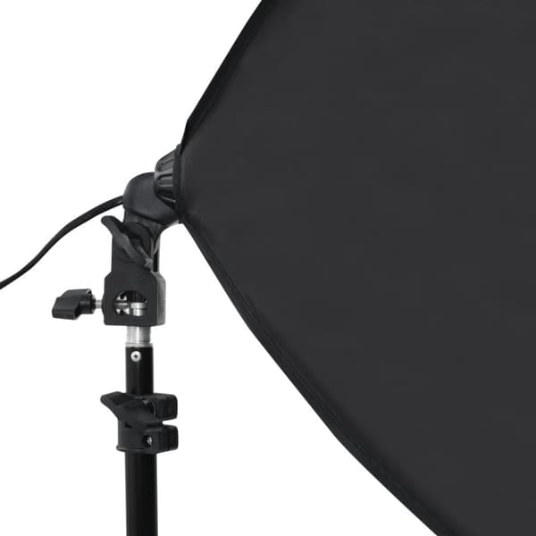 vidaXL Profesjonelle studiolys 2 stk 40x60 cm stål svart
