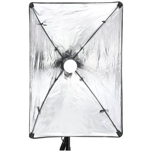 vidaXL Professionell studiobelysning 60x40 cm
