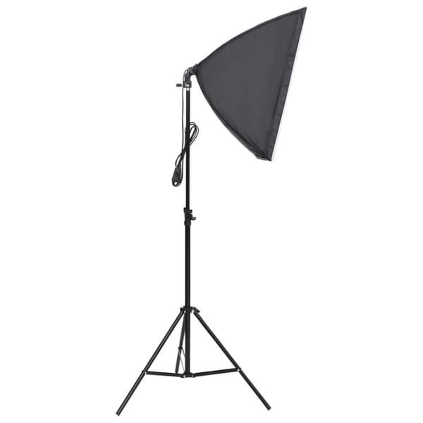 vidaXL Ammattimaiset studiovalot 2 kpl 40x60 cm