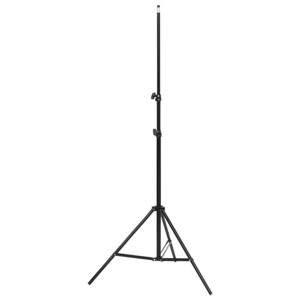 vidaXL Ammattimaiset studiovalot 2 kpl 40x60 cm