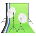Miniatyrbild 2 av 10: vidaXL Fotostudio med lampor, bakgrund och reflexskärm