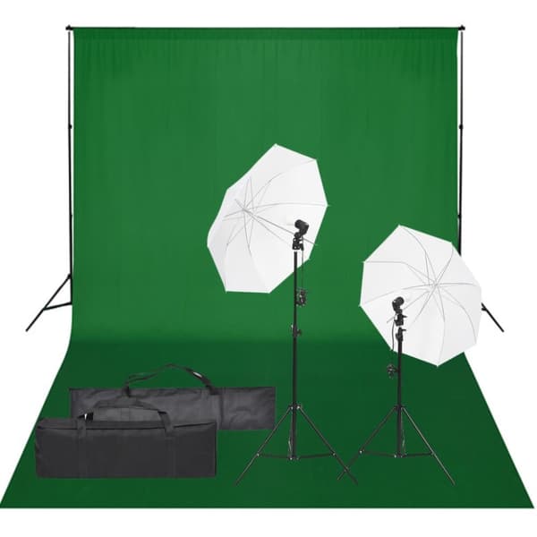 vidaXL Valokuvastudiosarja valosarjalla ja taustakankaalla -  Studiovalot & -salamat