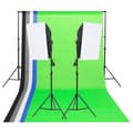 Miniatyrbild 1 av 2: Studiobelysning med bakgrunder & softboxar