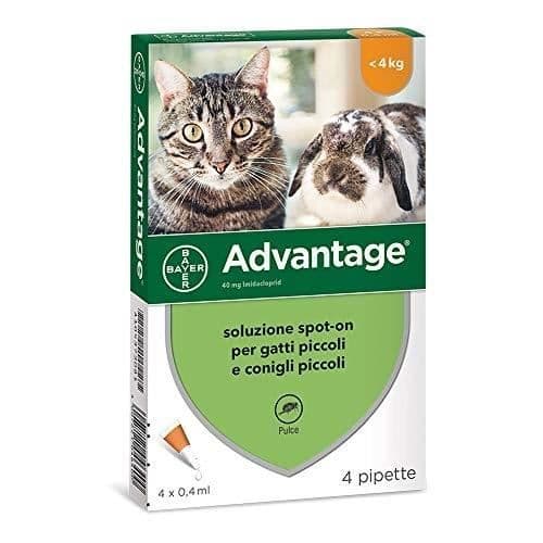 ADVANTAGE4PIP 0,4ML SPOT-ON