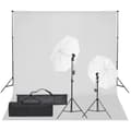 Miniatyrbild 1 av 2: Fotostudio med lampor och bakgrund