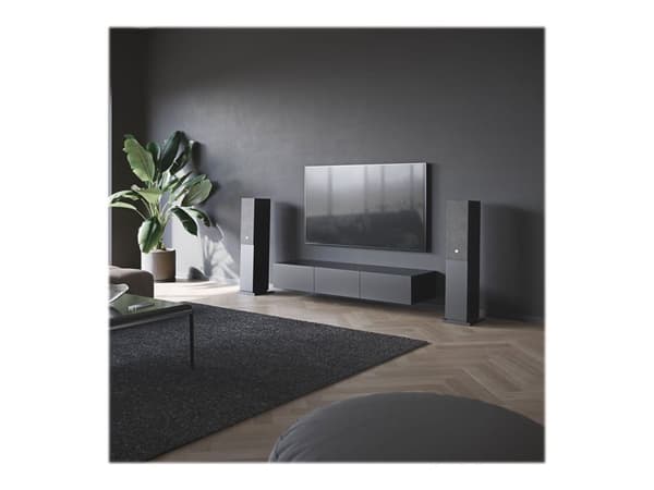 Audio Pro A48 Svart