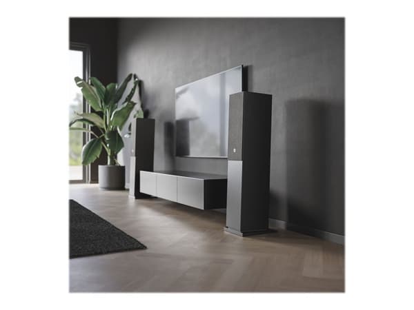 Audio Pro A48 Svart