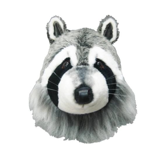 Djurhuvud Racoon