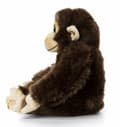 Miniatyrbild 2 av 2: WWF Schimpansunge