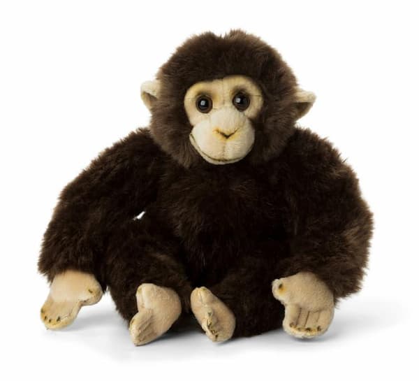 WWF Schimpansunge