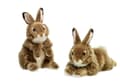 Miniatyrbild 1 av 3: WWF gosedjur Hare