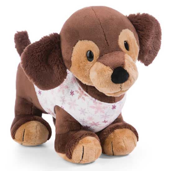 Nici Slachicha Hund Med Snedragt Bamse Skida Brun
