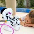 Pikkukuva 3 / 4: Plush Pet Eolo Sprint Dog 19 x 21,5 x 13 cm (4 Units)