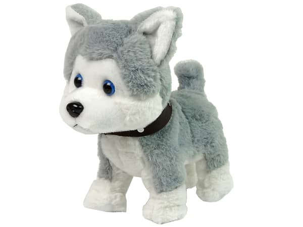 Plys Husky Dog Interactive Educational Leash Song Walks
