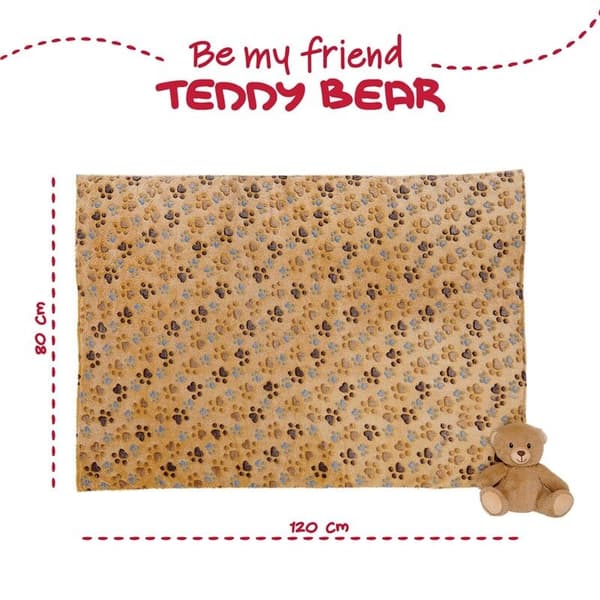 Teddy Bear Soft blanket + plush toy 22cm