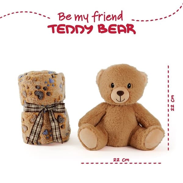 Teddy Bear Soft blanket + plush toy 22cm