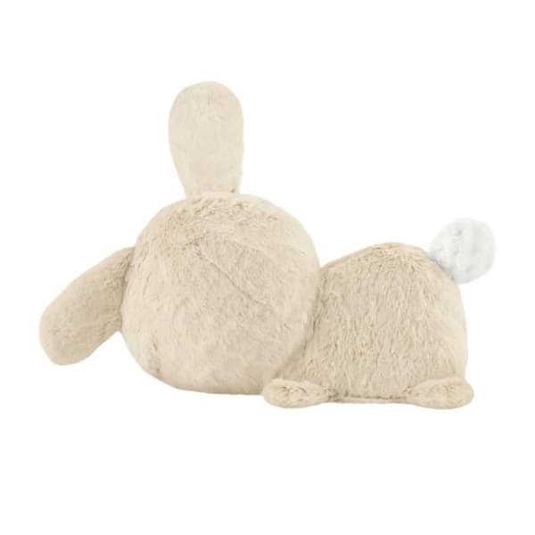 Fisher-Price-My Cuddly Rabbit - Nattlampa plysch - Leksak för tidig inlärning - HXG97