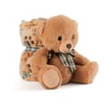 Miniatyrbild 1 av 5: Perletti Teddy Med Filt Teddy 22 Cm Orange