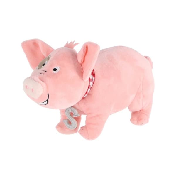 Beaphar rentouttava kaulapanta koirille - 65 cm