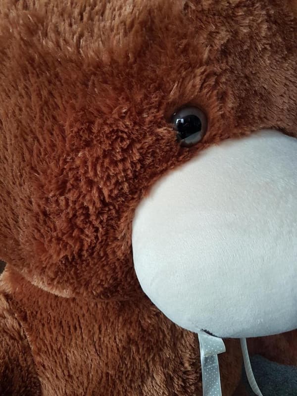 Miljövänlig XXL Teddybjörn - 205 cm, Anti-allergen bomullsplysch, Hållbar gåva