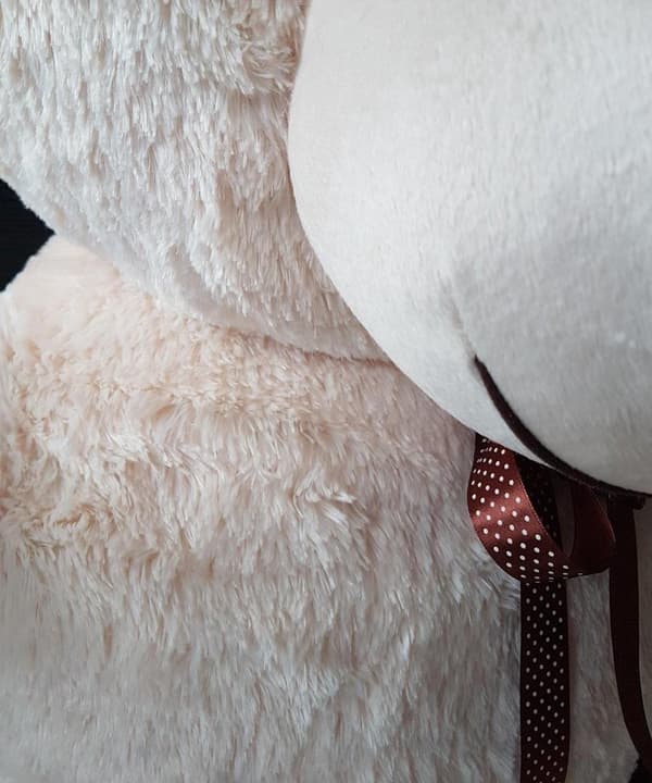 205cm XXL Cremefarvet Teddybjørn - Luksuriøs, Anti-allergisk, Perfekt Gave til Særlige Lejligheder