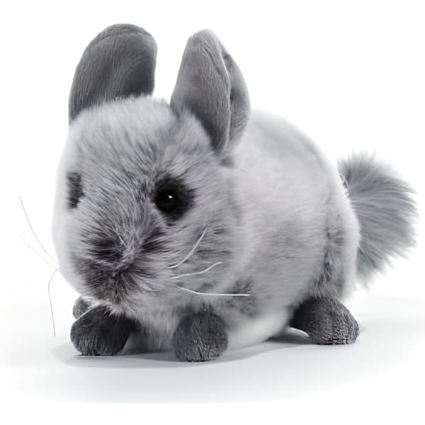 Mjuk leksak - PUSH &amp; COMPANY - NIJOLE CHINCHILLAS - 20 CM - För baby
