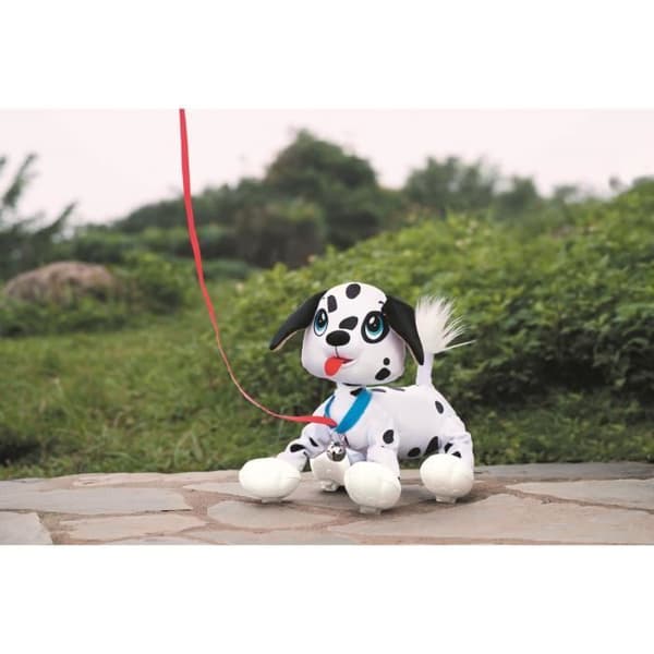 LES TOUFOUS Dalmatinerhund