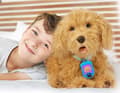 Miniatyrbild 4 av 4: Plysch Joy leksak - 42667
