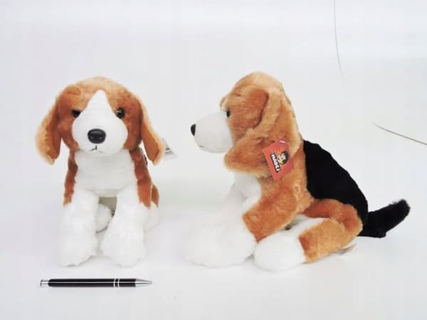 Peluche Madej Hund 26cm Beagle 009608 57029