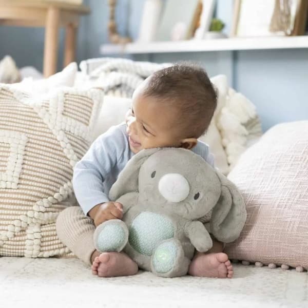 Fluffy toy Ingenuity