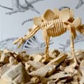 Miniatyrbillede 3 af 10: WOOPIE Kreativt Legetøj Dinosaur Skelet Arkæologisk Udgravning