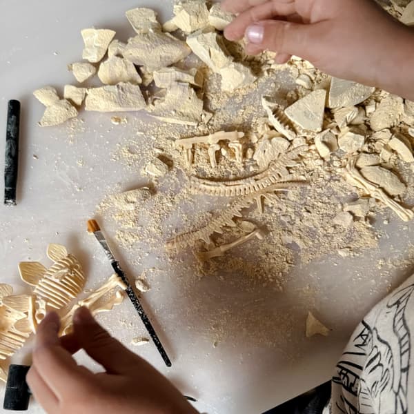 WOOPIE Kreativt Leksak Dinosaurieskelett Arkeologisk Utgrävning