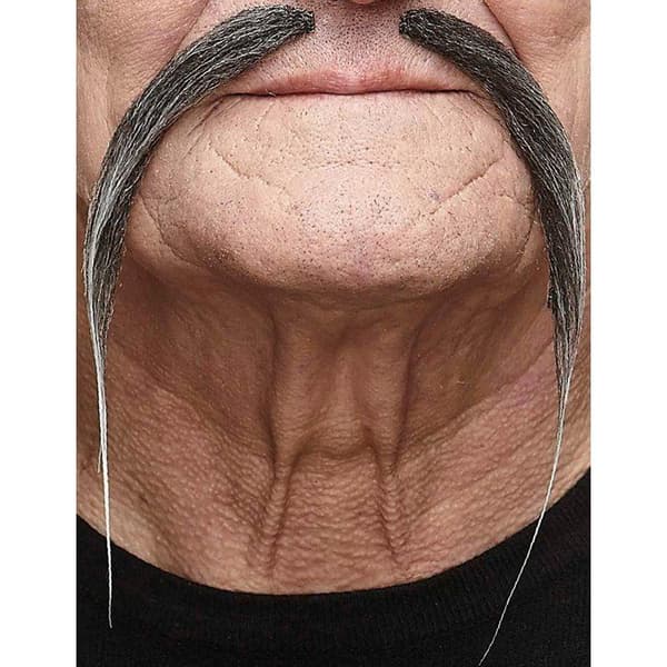Vuxen grå kinesisk mustasch