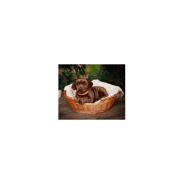 Mjukleksak - Living Nature - Brun Labrador - 60 cm - Inomhus - Blandat