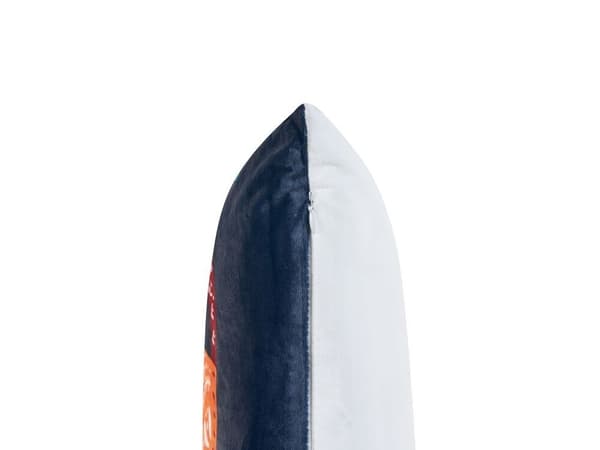 2 prydnadskuddar i sammet för barn med rävar 45 x 45 cm mörkblå FIRESPIKE Lumarko!
