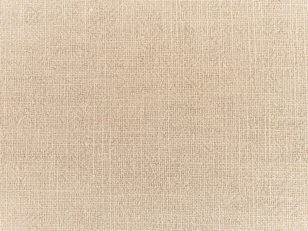 Set med 2 prydnadskuddar GUZMANIA 45 x 45 cm Beige Enfärgad Lumarko!