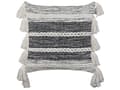 Miniatyrbillede 3 af 6: 2 dekorative bomuldspuder med frynser 45 x 45 cm sort med hvid ROCHEA