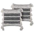 Miniatyrbillede 1 af 6: 2 dekorative bomuldspuder med frynser 45 x 45 cm sort med hvid ROCHEA