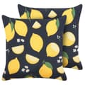 Miniatyrbild 1 av 7: Set med 2 CITRUS prydnadskuddar 45 x 45 cm Svarta växtmönster Lumarko!