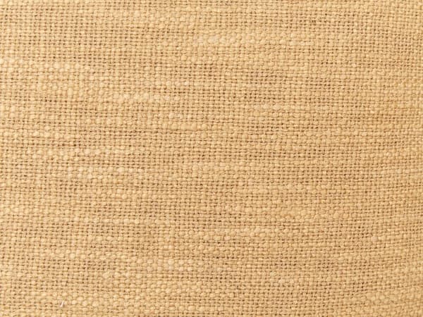 Set med 2 prydnadskuddar OLEARIA bomull 45 x 45 cm sandfärgad enfärgad Lumarko!