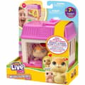 Miniatyrbild 6 av 6: Fluffy toy Little Live Pets Mama Surprise Hamsters Orange Plush Hamster