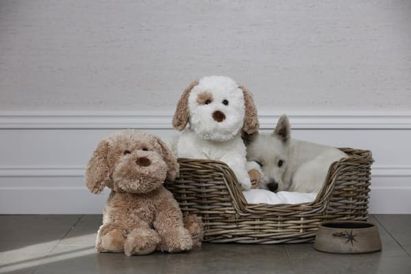 Selma Brown 35 cm Teddy Company
