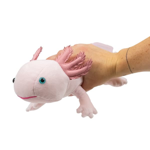 World Of Natur Axolotl Gosedjur Animigos