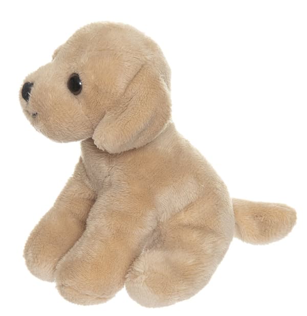 Hunden Tess Med Valp Teddykompaniet