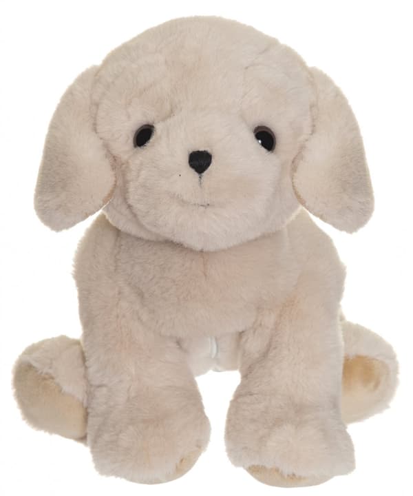 Hunden Tess Med Valp Teddykompaniet