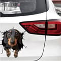 Miniatyrbild 2 av 2: Bildekal - Hund med en söt blick