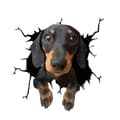 Miniatyrbild 1 av 2: Bildekal - Hund med en söt blick