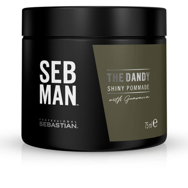 SEB MAN SEBMAN THE DANDY Shiny Finish Wax Hold Ointment 75 ml